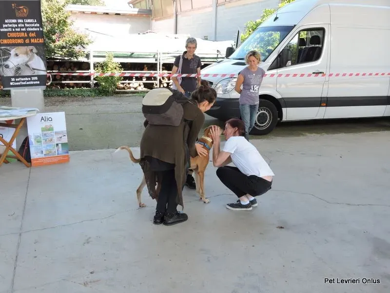 12004738 894802813936908 4392142616141870304 n