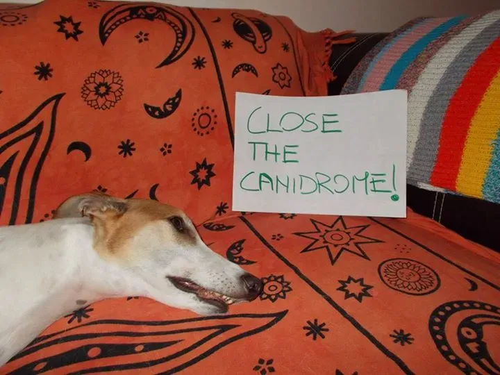 12004782 10203634846231951 3014396906799230736 n