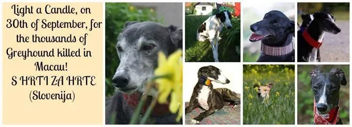 12004837 1630227357226266 3515458721646436908 n