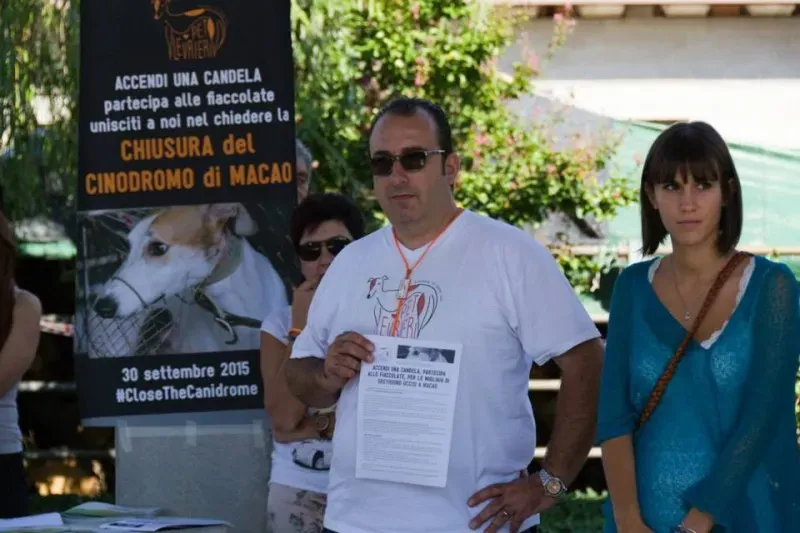 12004850 895085990575257 5071786152490422211 n