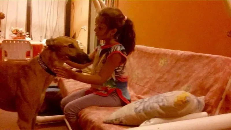 12004887 893078124109377 8199400561123680002 n