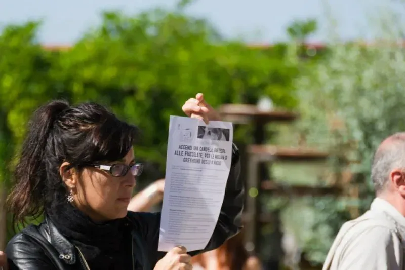 12004929 895085860575270 1291516767952910436 n