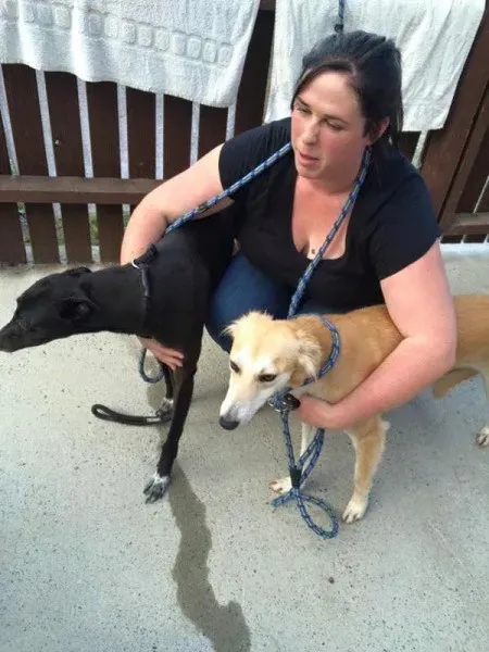 12006247 892133877537135 4314089591326732518 n