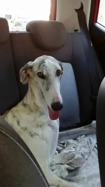 12006307 892092090874647 1838670698063676836 n