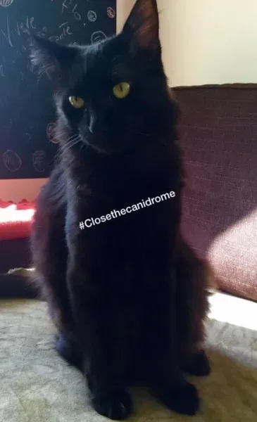 12006309 498005763706082 6290980589032036349 n