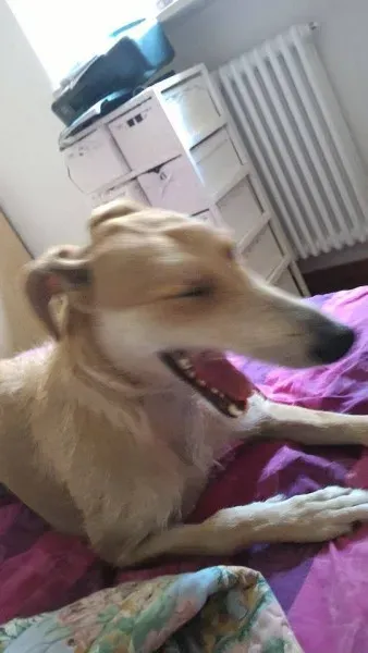 12006322 907317752693162 491596613721321578 n