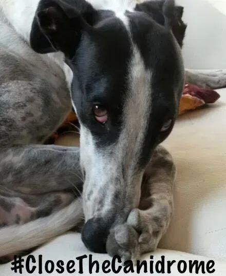 12006327 985334841486897 5133850582986026084 n