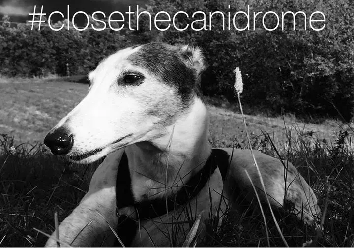 12006438 10206976534324842 4288088089547613577 o