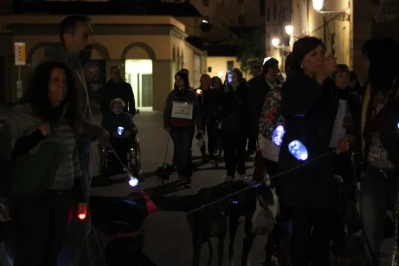 12006683 517884048380119 1560232899589571398 o