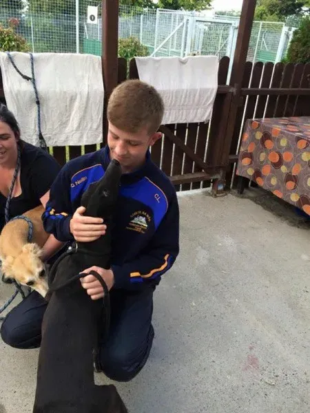 12009542 892133867537136 1203950753137972972 n