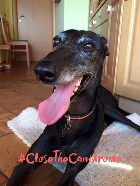 12009574 10153650558928069 960212034282315515 n