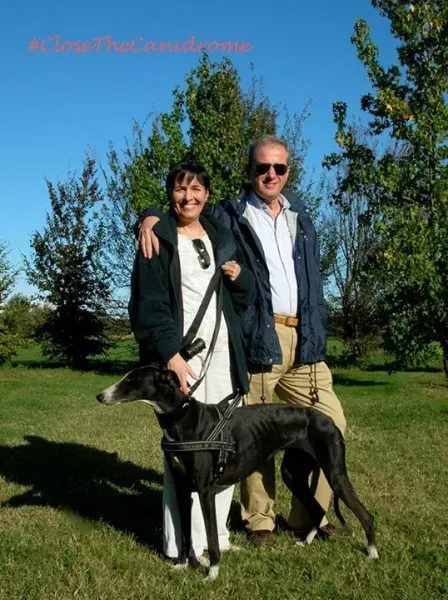 12009574 716546871822020 6657870229799425463 n