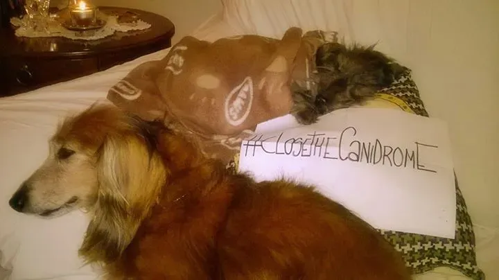 12009601 10204698408810191 4127621357984850816 n