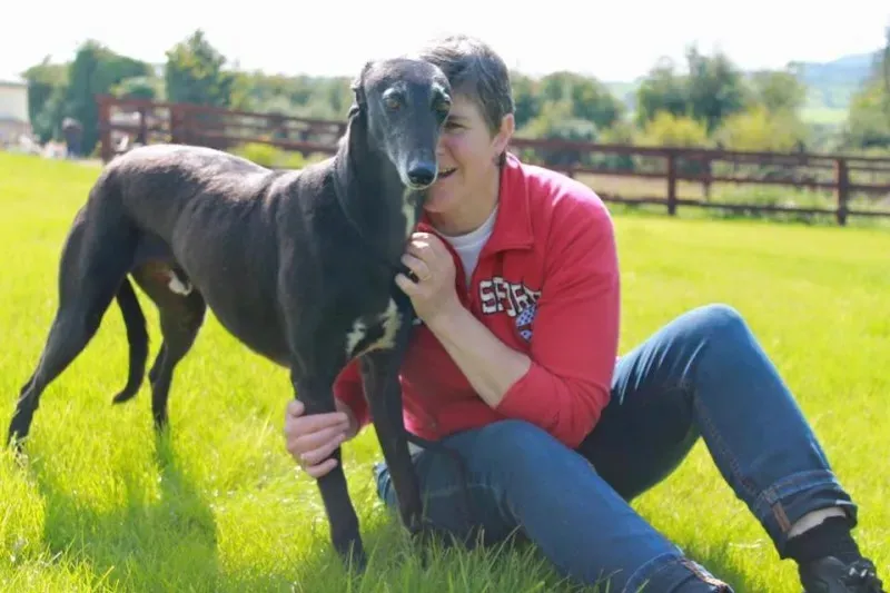 12009634 905010402923897 299495042581523941 n