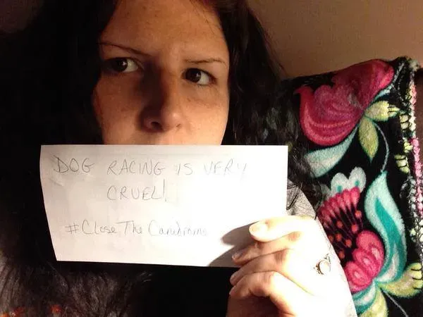 12009662 10153164997538354 7241201059703895525 n