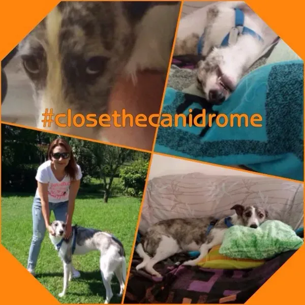 12009713 1913297368894851 5871582824707331057 n