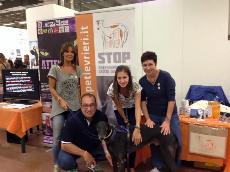 12009819 10205855109389310 6083415044978146245 n