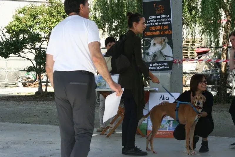 12010607 894540217296501 4346692818157314828 o