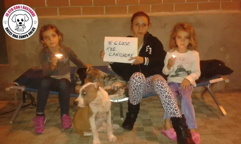 12010688 430139463861496 2808074021612252052 o