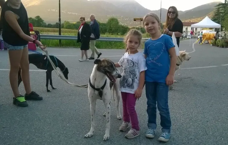 12010711 167423786931864 719111927366335232 o