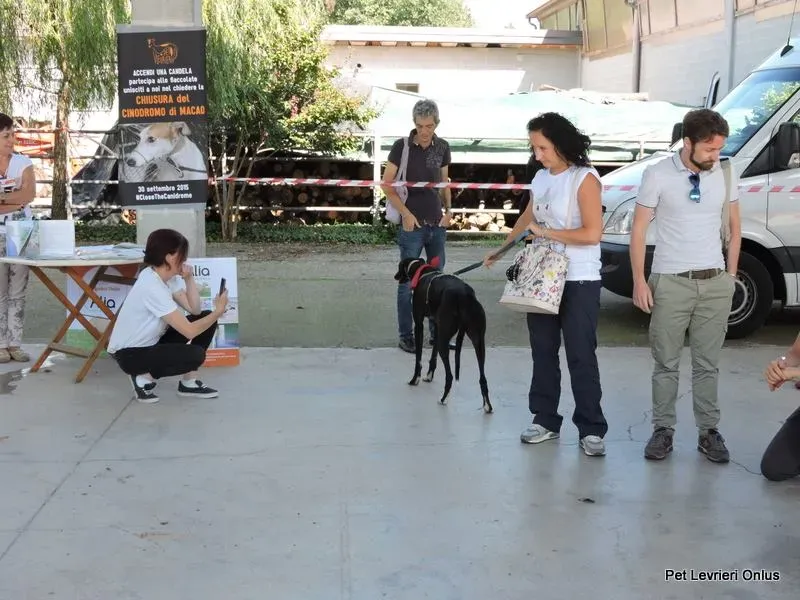 12011119 894802033936986 3499010971733090543 n