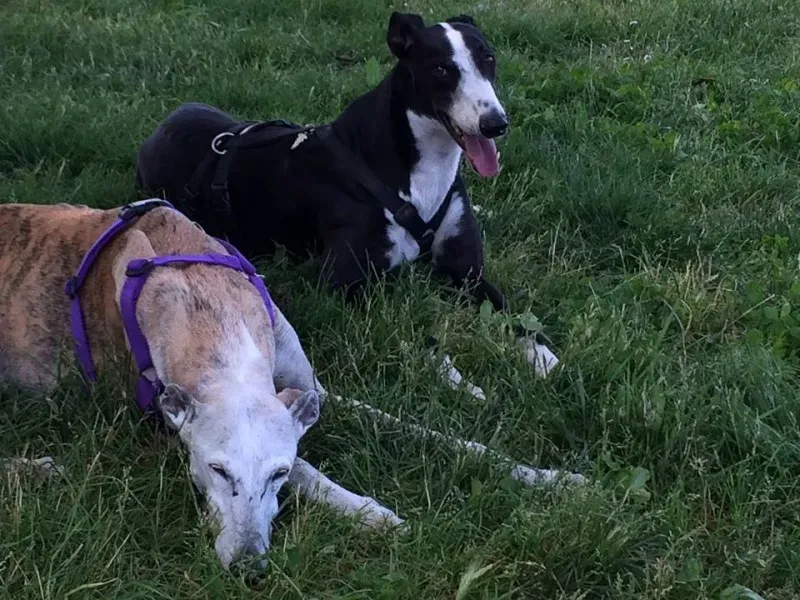 12011161 751911441601934 458395611555405498 n