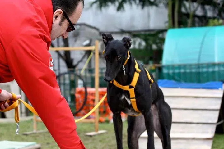 12011246 891676497582873 4550823781528159461 n