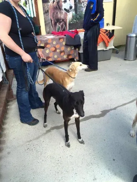 12011326 892133944203795 6234603485316265660 n