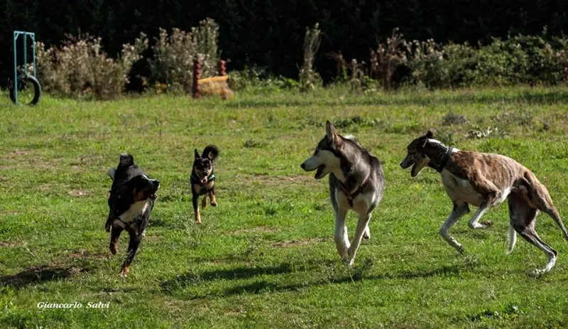 12011343 10205174418456385 6991561089647694226 n