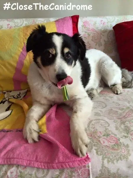 12011407 10205173978497257 9092044189302725301 n