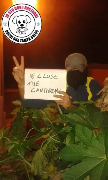 12015143 430139500528159 852878645981128657 o