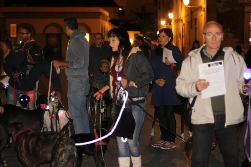 12015145 517884238380100 3238114339279909356 o