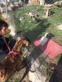 12016464 927331534025117 447511942 n