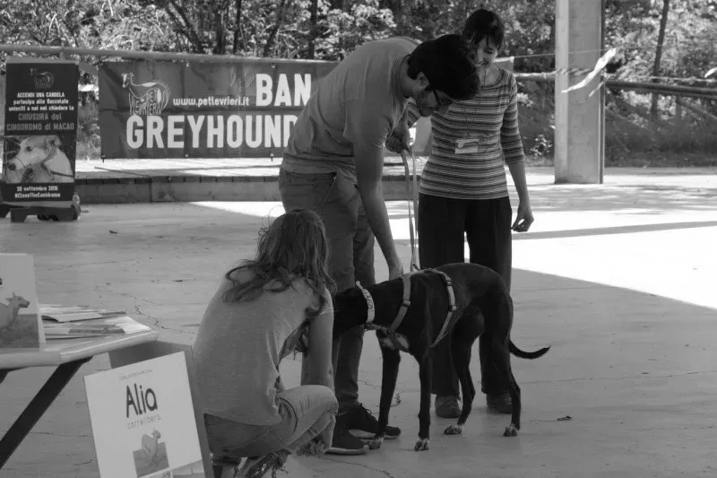 12017449 894535743963615 4219193038996157993 o