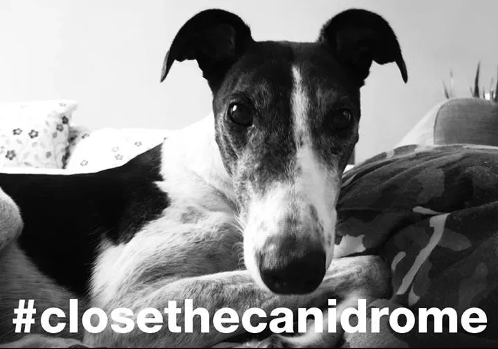 12017654 10206975133409820 2619772544165556323 o