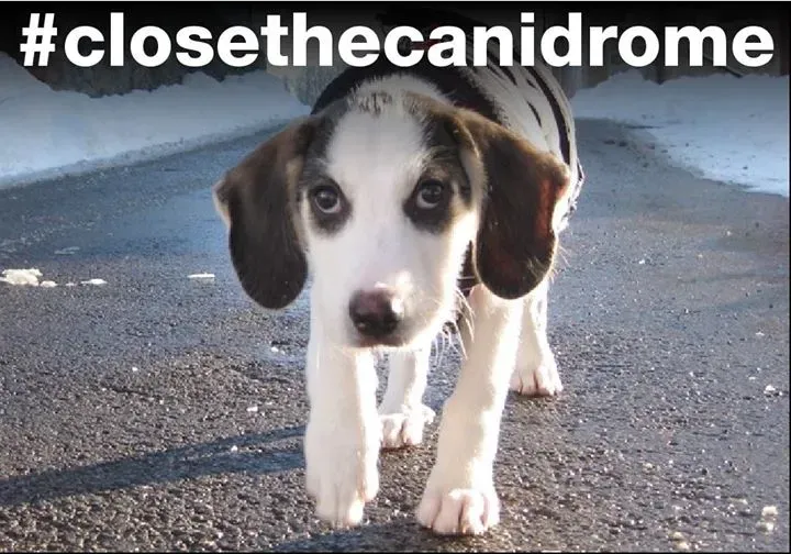 12017670 10206755734124797 1673755649726425370 o