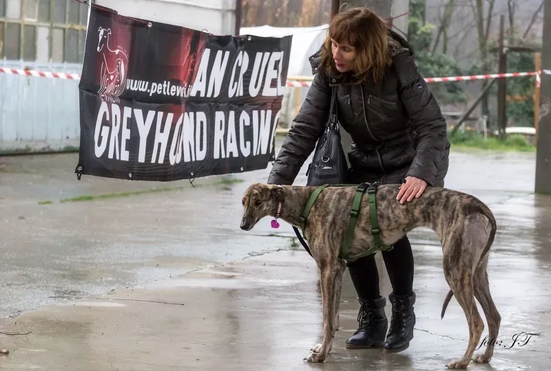 12018698 982387271830676 514422284 o