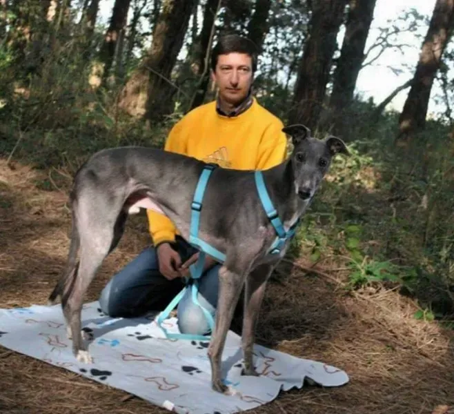 12019762 1627479804177373 634899730459471823 n