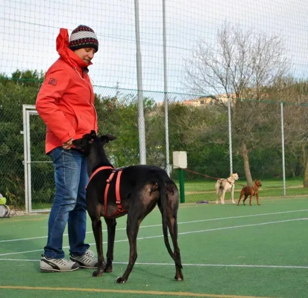 12019781 891676487582874 7729672129128239242 n