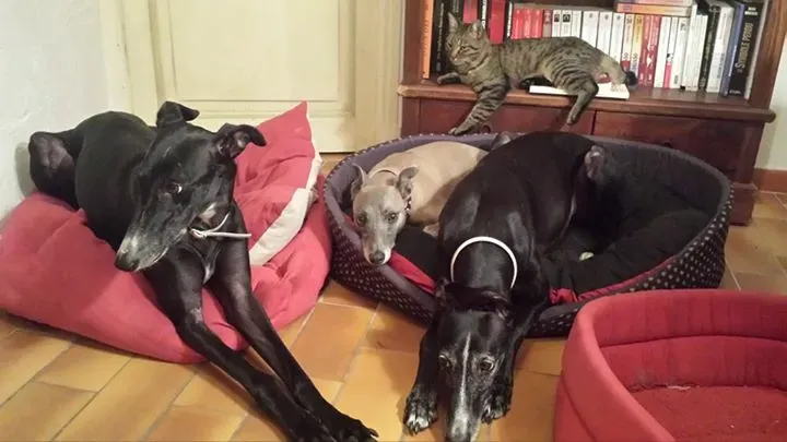 12019860 483553505150078 4814235831895785660 n