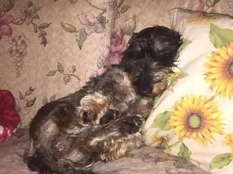 12019875 1499024810423396 2734785730496218128 n