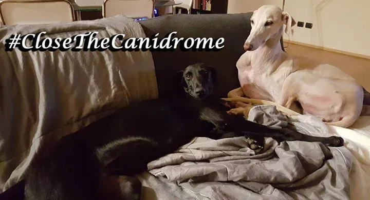 12019943 10207634808336349 8894481608880082555 n