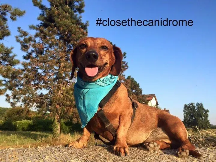 12019953 1059245367427001 4583790681418921154 n