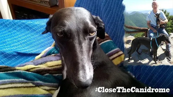 12019978 516601021841755 5513694958951539112 n