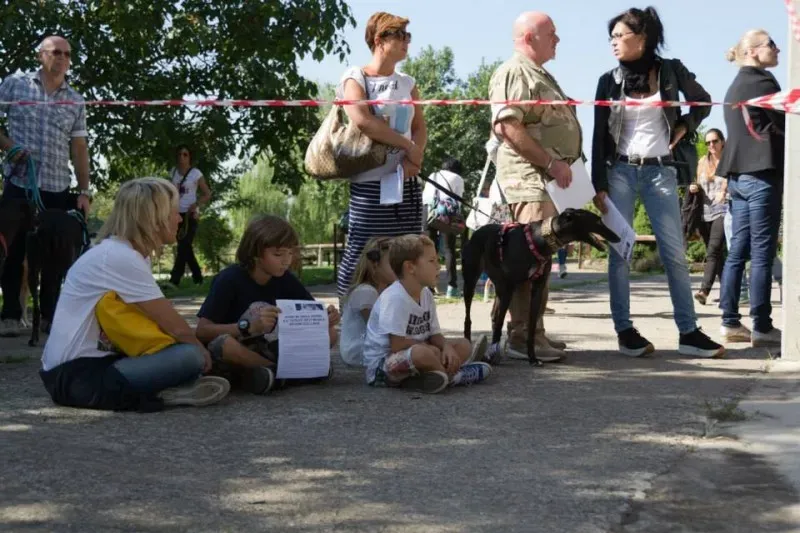 12019989 895086030575253 8269348995108175831 n