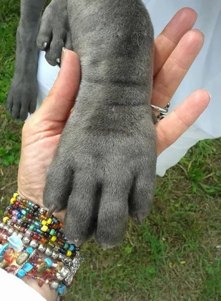 12020006 999154836773403 1399981217976099283 n