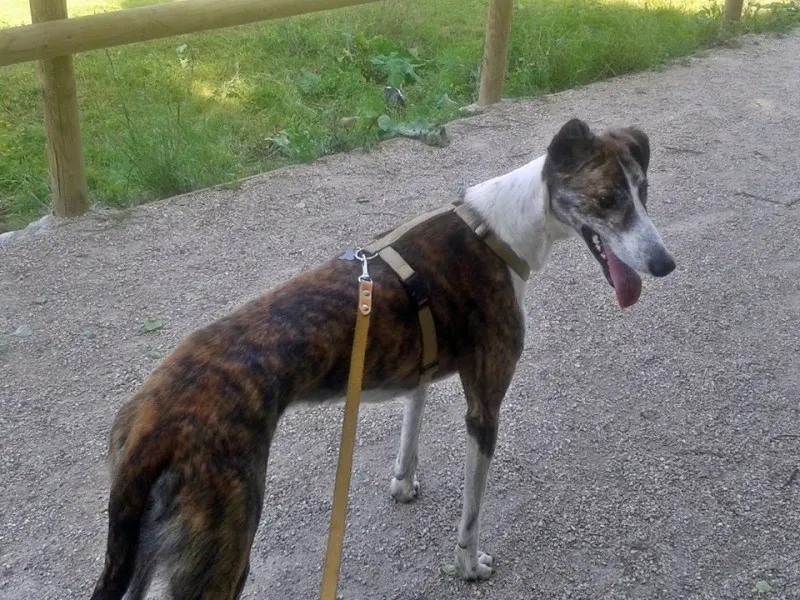 12022338 10205272125899010 6288409330752280771 o