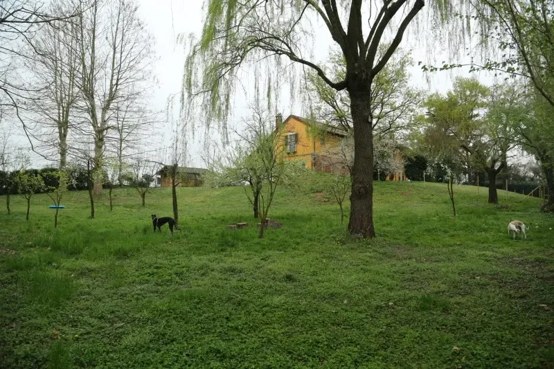 12022445 1590694901257491 763998484843577332 o