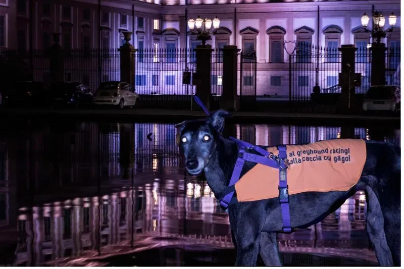 12022473 10207017657627255 1901617114084269830 o