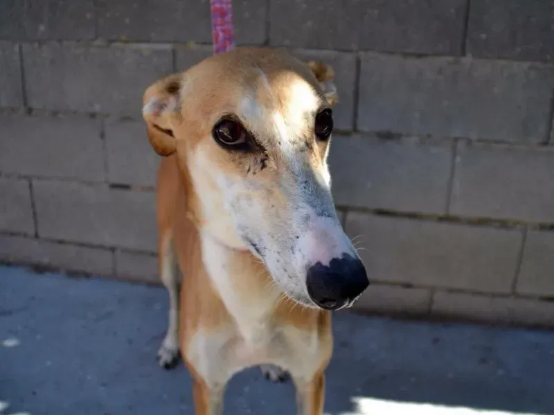 12025452 10205953772415824 54670220 n1